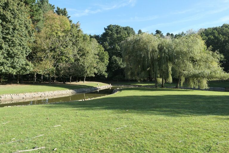 L'étang et les saules du parc des Gayeulles, Rennes