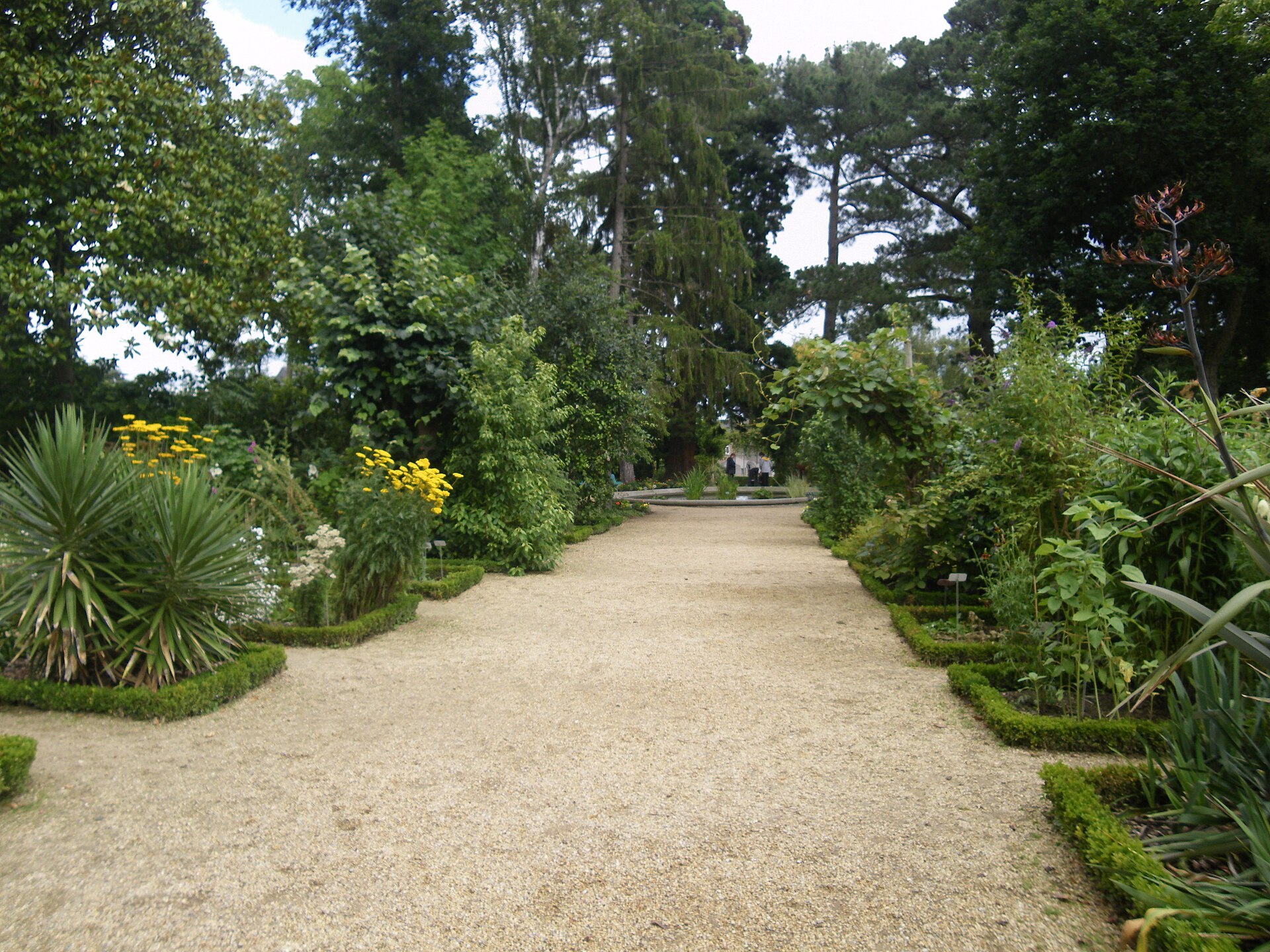 Allée du jardin botanique du parc du Thabor, Rennes