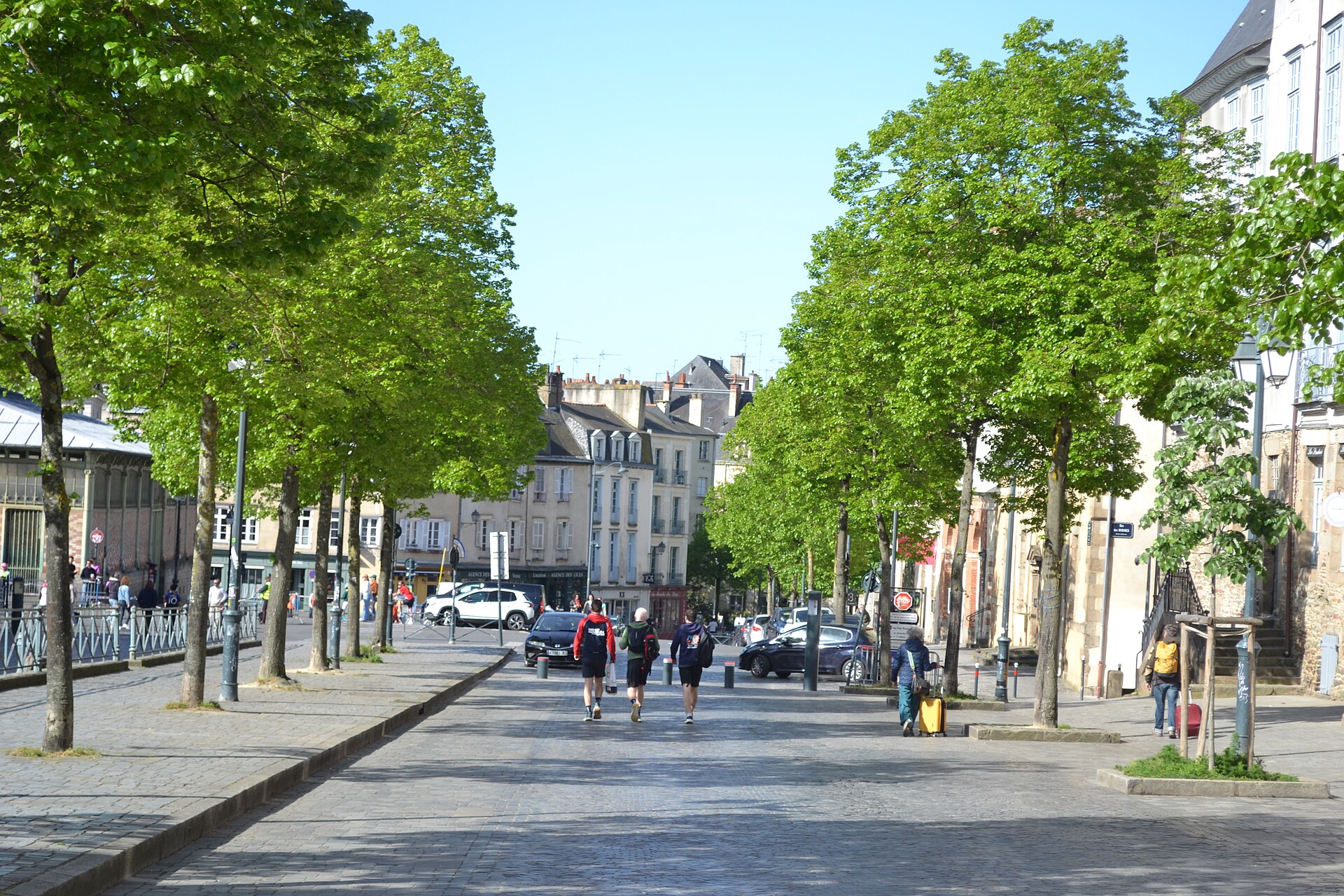 Rue piétonne bordée d'arbres, place des Lices à Rennes